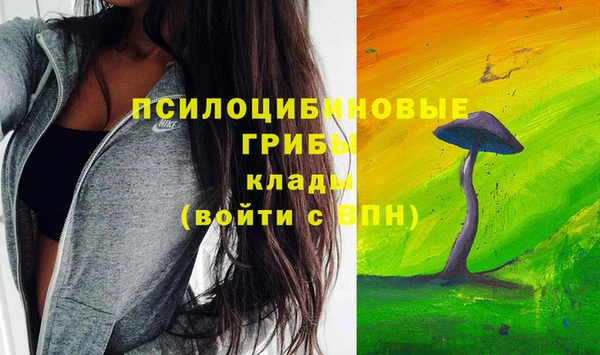 метамфетамин Армянск